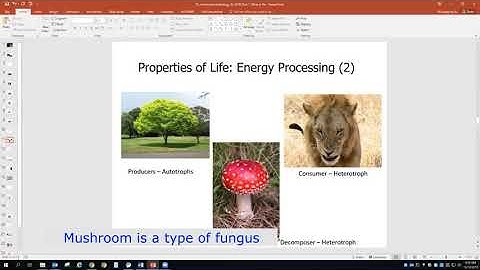 Bio 111: Chapter 1 Introduction to Biology