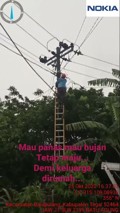 PEKERJA PLN