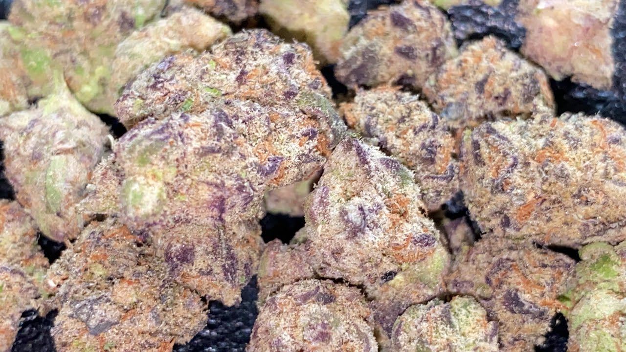 SUNDAE DRIVER 🍧🍬🔥 Green Pharm Detroit • Strain Review 🌍 The420World