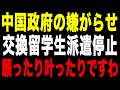 【驚愕】中国が日本人への嫌がらせで自爆w