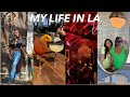 MY LIFE IN LA VLOG | Youtube Events, NEW Restaurants, Nights Out, My Boo is Visiting! @DanaAlexia