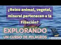 ¿Reino animal, vegetal, mineral, son parte de la Filiación? | Explorando Un Curso de Milagros