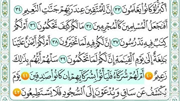 سورة القلم من ٤٠ إلى ٤٢ مكررة - خليفة الطنيجي
