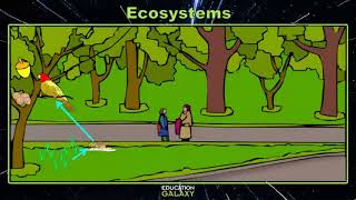 4th Grade - Science - Ecosystems - Topic Overview