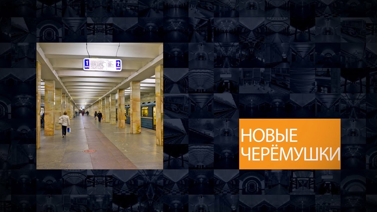 Метро новые черемушки доехать. Новые Черемушки метро. Станция метро новые Черемушки. Станция метро Черемушки Москва. Новые Черёмушки станция метро выходы.