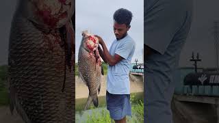 Big Fish Telugu Big Fish