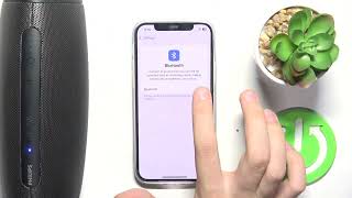 How to Fix Bluetooth Pairing Issues on PHILIPS S5305/00