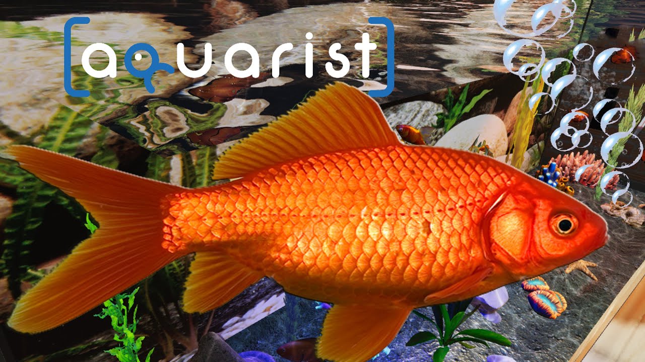 Что делать, если батя подарил аквариум на днюху ▶ Aquarist - My First Job (Симулятор аквариумиста)