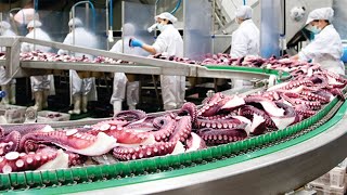 Fishing Of Giant Squid And Octopus At Sea - The Process Of Processing Frozen Squid And Octopus