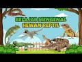 Belajar Mengenal Hewan Reptil, Ular, Bunglon, Iguana, Kura Kura, Toke, Komodo