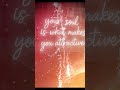 Soul Attraction #soul #attraction #soulmate #truth #deep #connect #connected #powerful #enchanted