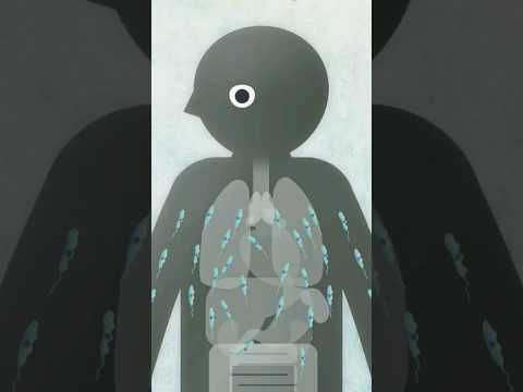 ذبابة التسي تسي    