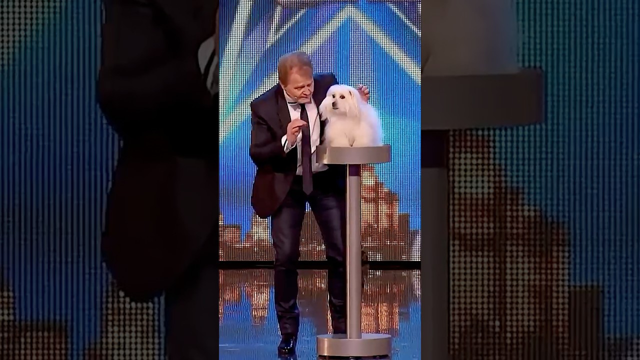 A Talking Dog! The Judges Were Left Speechless 🐕🗣️