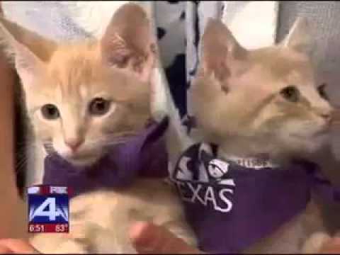 horseshoe bend Iso and Isdera go to Good Day Fox 4