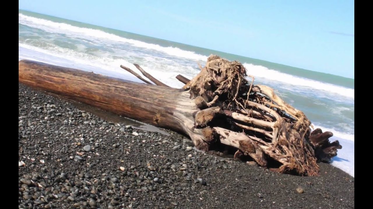 Hawke's bay beach