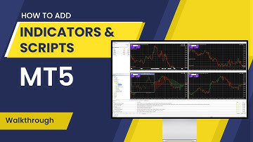 How to add Indicators,  Scripts & Expert Advisors on Metatrader 5 ( MT5)