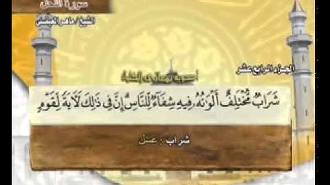 سورة النحل ماهر المعيقلي Surah An Nahl Maher Al Muaiqly