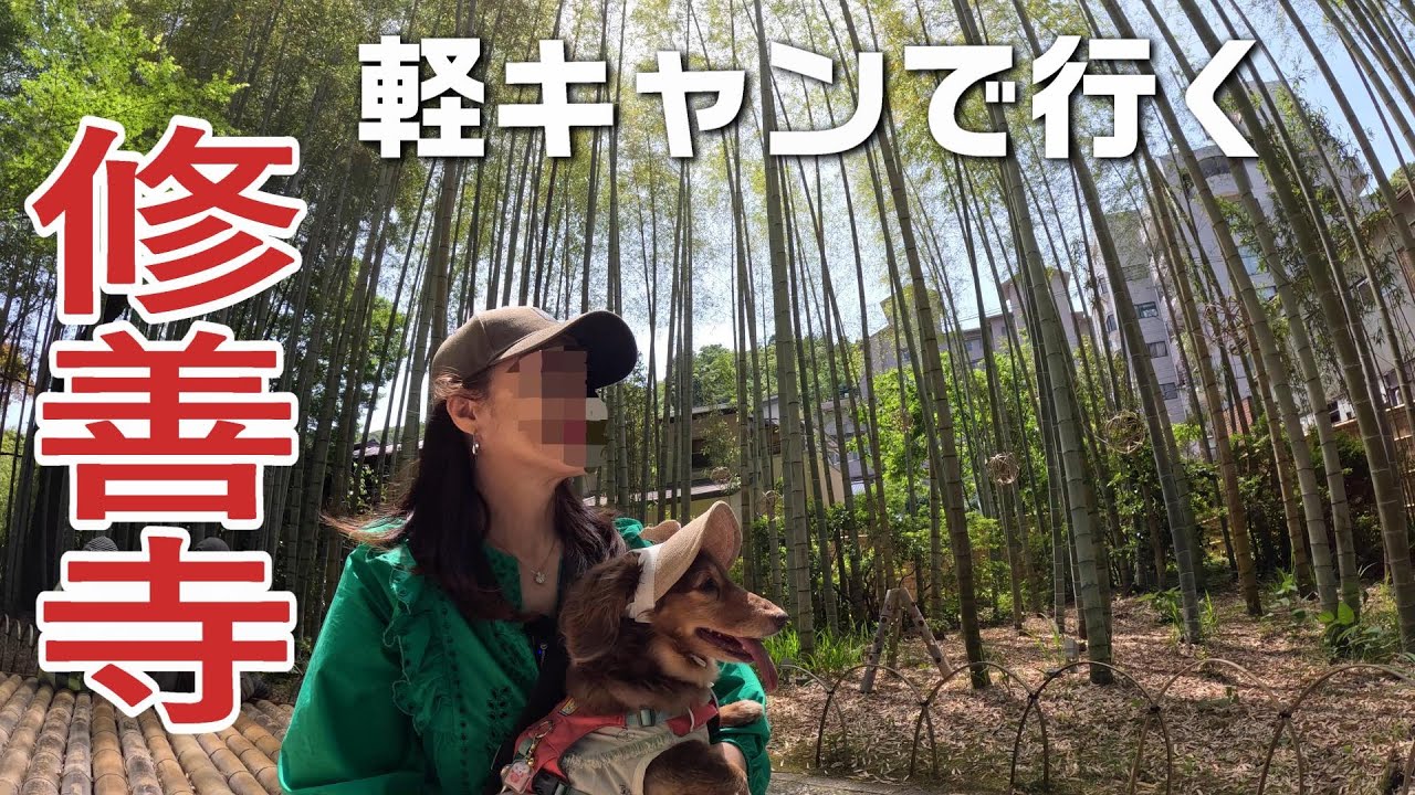 【中伊豆・修善寺】軽キャンで行く新緑の景色に癒される初夏の伊豆！2泊3日の伊豆ぐるっと一周旅♪