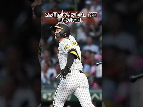 【キャンプ地移転問題】岡田監督「球団の判断が3番・森下の誕生に繋がった」シーズンを終えて明らかになったメリットとは？【阪神タイガース】 #阪神タイガース #日本シリーズ #森下翔太 #安芸