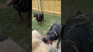 The Baddest Sisters On The East Coast