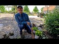 Planting 3 Full Sun &amp; 3 Shade Containers in My Parent’sGarden! 🥰🪴🌸 // Garden Answer