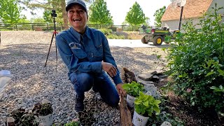 Planting 3 Full Sun & 3 Shade Containers in My Parent’sGarden!  // Garden Answer