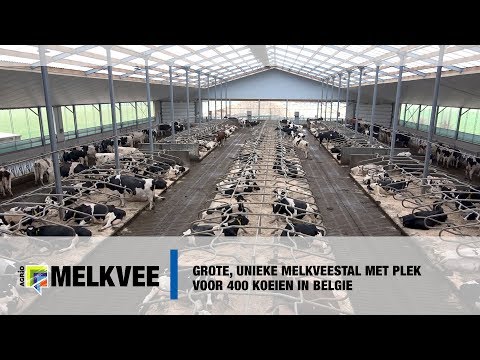 Grote unieke melkveestal met plek voor 400 koeien in Belgie