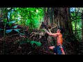 Survie en solitaire   instinct de survie dans la jungle   asm