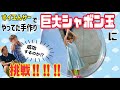【すイエんサーでやってた 簡単巨大シャボン玉 作り 】スズちゃん夢中になりすぎ!!︎