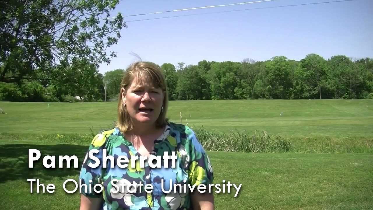 Ohio Turfgrass Week - Selecting the Right Grass for Your Lawn