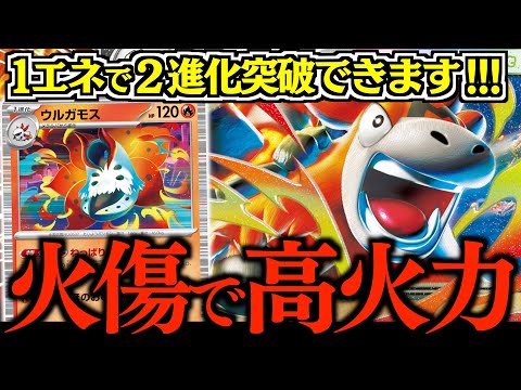 え？】火力アップ大量採用でムキムキになった『メガバクーダex』がスゴ
