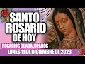 El santo rosario de hoy lunes 11 de diciembre de 2023misterios gozososrosarios guadalupanos