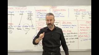 Mehmet Celal Hoca Yıkıldı Yapacak Bir Şey Yok Sonu Çok Komik