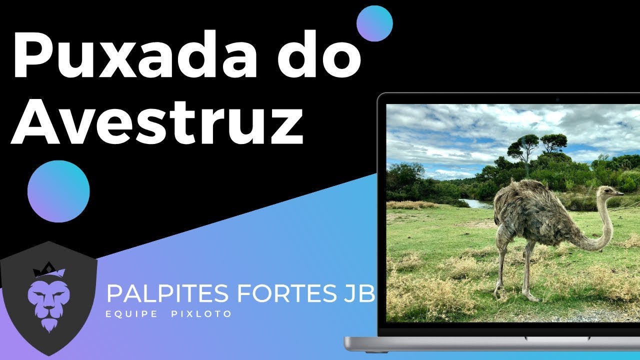 Puxada do avestruz grupo 01 jogo do bicho - YouTube