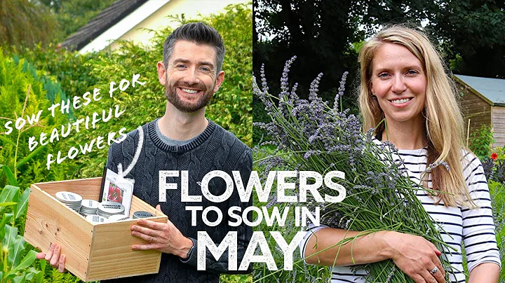 What Flowers to Sow in May | Flowers to Sow in Spring | What to Sow Now! - DayDayNews