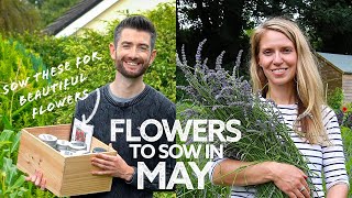 What Flowers to Sow in May | Flowers to Sow in Spring | What to Sow Now!