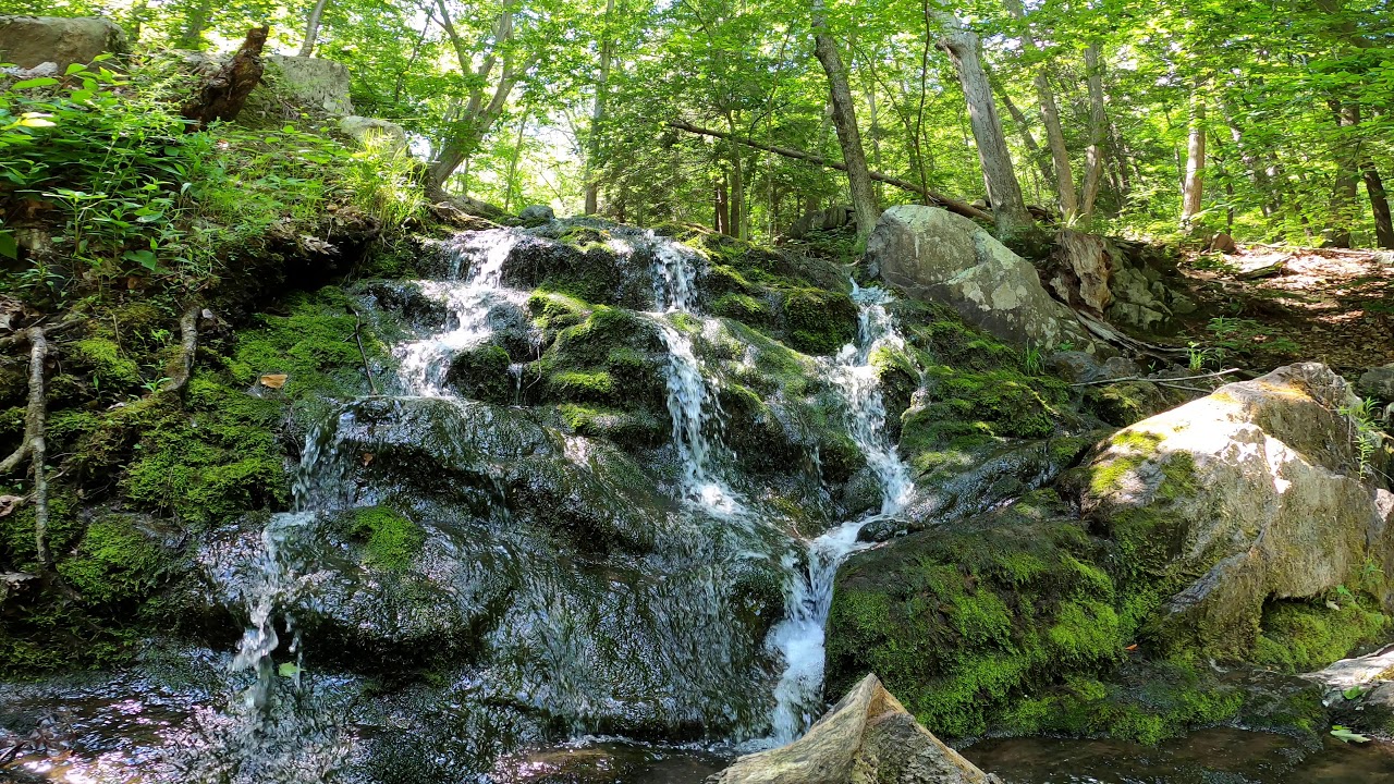 Moment of Zen- Ciaiola Preserve