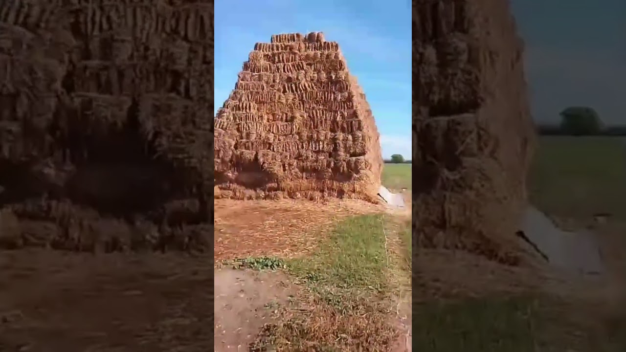 Bərdədə ferma satilir 