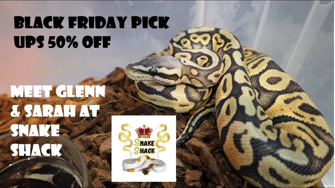 Скидка 50% на товары в Черную пятницу. Встречайте Гленна и Сару из Snake Shack.