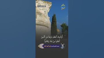 بصوت فضيلة القارئ الشيخ نور أبو داود