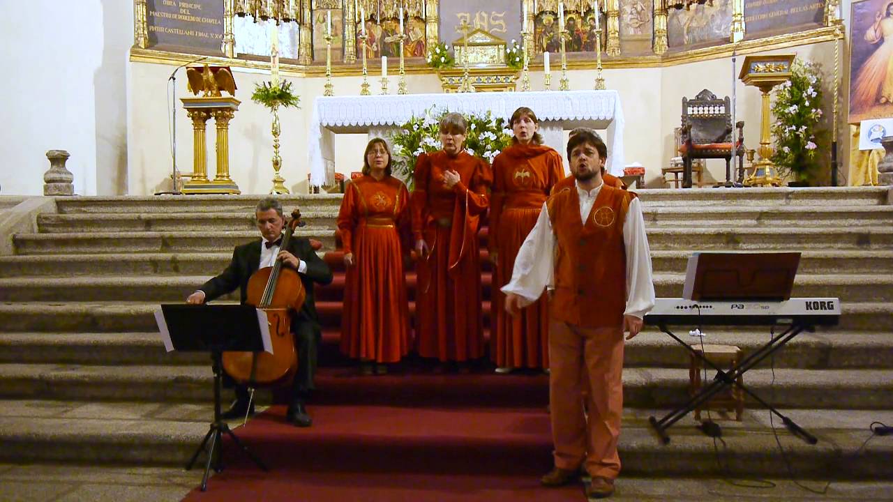 Пливе кача (04.2016) - YouTube