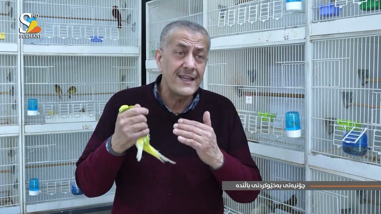 سەرنج: چۆنیەتی بەخێوكردنی باڵندە