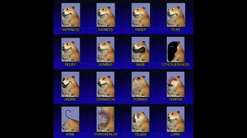 How to Find "Advanced Expressions Chomik" In Find the Chomiks (Read Description)