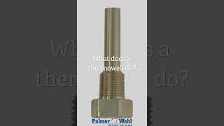 Think of a thermowell as your temperature sensor's bodyguard