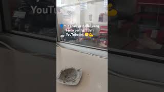 Kita Usakan Lagi #shortvideo #katahatimotivasi #motifasidiri