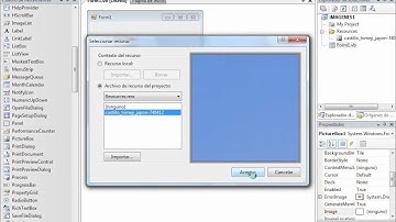 Vb.net curso part12 - Modos de visualización de una imágen