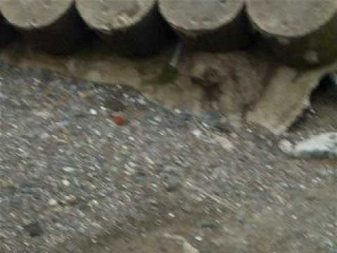 Destroyed sea wall at skipsea . Coastal erosion on East Yorkshire Coast .  Video 3