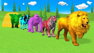 Long Slide Game With Elephant Gorilla Buffalo Hippopotamus Tiger - 3d Animal Game - Funny 3d Animals