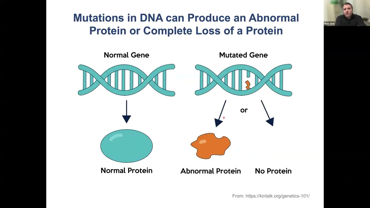 Gene Therapy Webinar