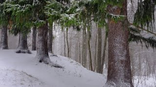 видео Усадьба Шуваловых